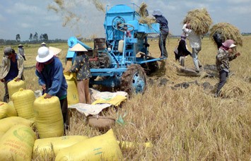 Nâng cao giá trị xuất khẩu cho gạo Việt Nam - ảnh 1