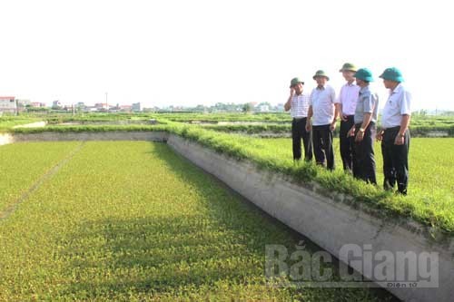 Huyện Hiệp Hòa, tỉnh Bắc Giang: Xây dựng nông thôn mới từ sự đồng thuận của nhân dân - ảnh 2