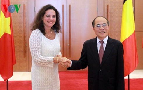 Chủ tịch Quốc hội Nguyễn Sinh Hùng đón, hội đàm với Chủ tịch Thượng viện Vương Quốc Bỉ  - ảnh 1