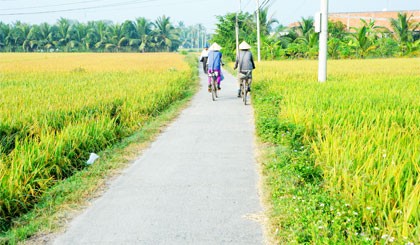 Tỉnh Bình Phước tạo sự đồng thuận trong xây dựng nông thôn mới - ảnh 1