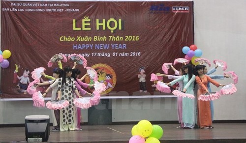 Người Việt Nam tại Malaysia, Nhật Bản vui đón Tết Bính Thân  - ảnh 1