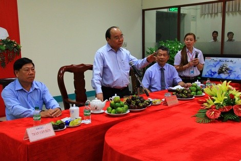 Thủ tướng Nguyễn Xuân Phúc làm việc tại tỉnh Vĩnh Long - ảnh 1