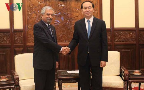 Chủ tịch nước tiếp Điều phối viên Thường trú Liên Hợp quốc, Trưởng đại diện UNDP tại Việt Nam - ảnh 1