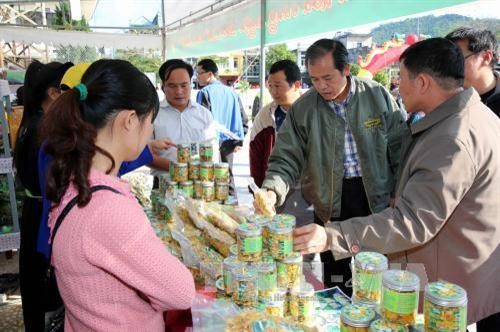 Hội trà hoa vàng ở huyện Ba Chẽ, Quảng Ninh: Quảng bá, tôn vinh cây dược liệu quý - ảnh 2