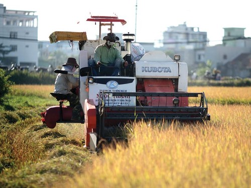 Phú Yên: Khởi động nhiều dự án đầu tư vào lĩnh vực nông nghiệp - ảnh 1