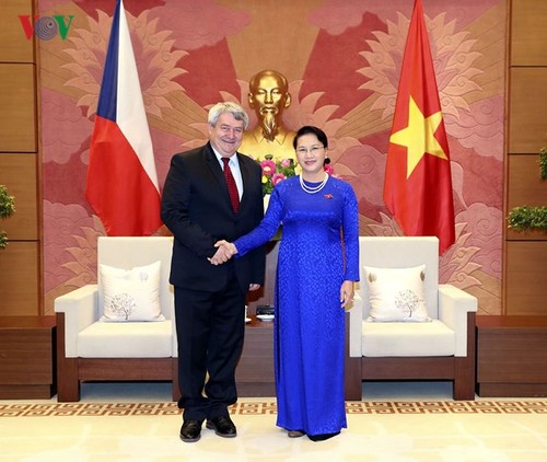 Chủ tịch Quốc hội Nguyễn Thị Kim Ngân tiếp Phó Chủ tịch Hạ viện Cộng hòa Séc - ảnh 1