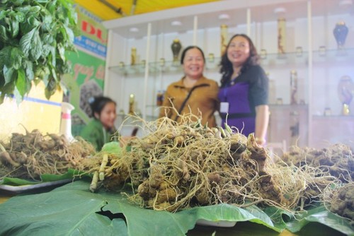 Lễ hội sâm Ngọc Linh tại  Quảng Nam  - ảnh 1