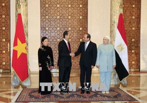 Tổng thống Abdel Fattah Al Sisi chủ trì lễ đón và Hội đàm với Chủ tịch nước Trần Đại Quang - ảnh 2