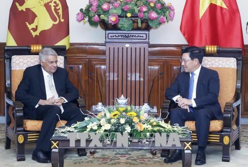 Phó Thủ tướng, Bộ trưởng Ngoại giao Phạm Bình Minh hội kiến với Thủ tướng Srilanka - ảnh 1