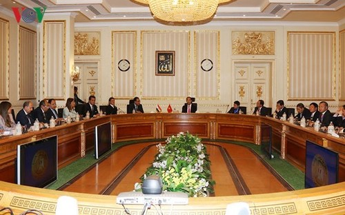 Chủ tịch nước Trần Đại Quang hội kiến với Thủ tướng Ai Cập - ảnh 1
