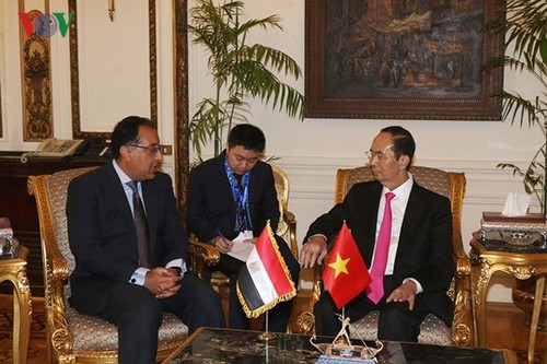Chủ tịch nước Trần Đại Quang hội kiến với Thủ tướng Ai Cập - ảnh 2
