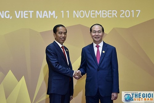Tổng thống Cộng hòa Indonesia và Phu nhân bắt đầu thăm cấp Nhà nước Việt Nam - ảnh 1