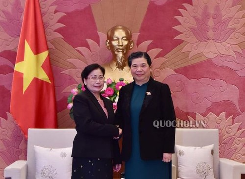 Đẩy mạnh hợp tác trong lĩnh vực kiểm toán giữa Việt Nam - Lào - ảnh 1