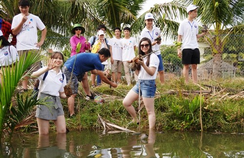 Thanh thiếu niên kiều bào trồng rừng ngập mặn bảo vệ môi trường tại Hội An - ảnh 1