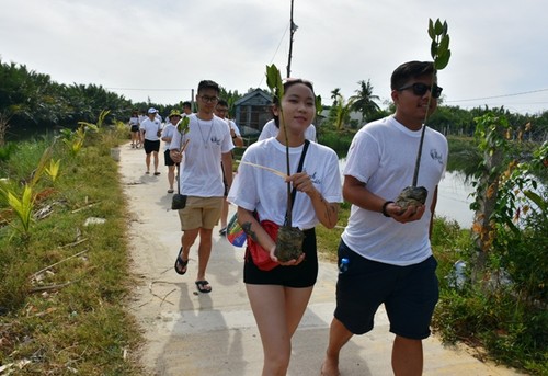 Thanh thiếu niên kiều bào trồng rừng ngập mặn bảo vệ môi trường tại Hội An - ảnh 6