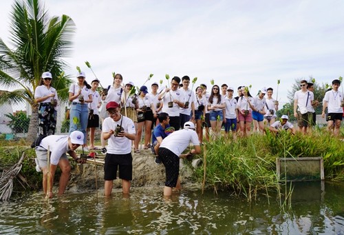 Thanh thiếu niên kiều bào trồng rừng ngập mặn bảo vệ môi trường tại Hội An - ảnh 10