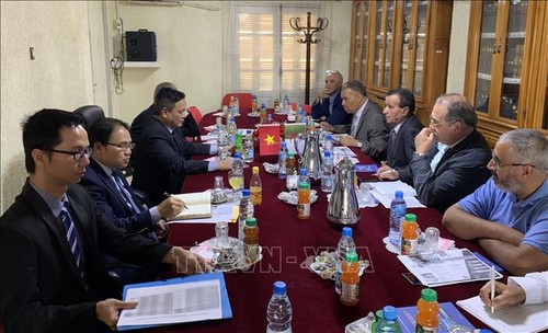 Xúc tiến thương mại và hợp tác đầu tư Việt Nam – Algeria - ảnh 1