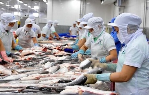 Hoa Kỳ công nhận tương đương hệ thống kiểm soát an toàn thực phẩm cá da trơn của Việt Nam - ảnh 1