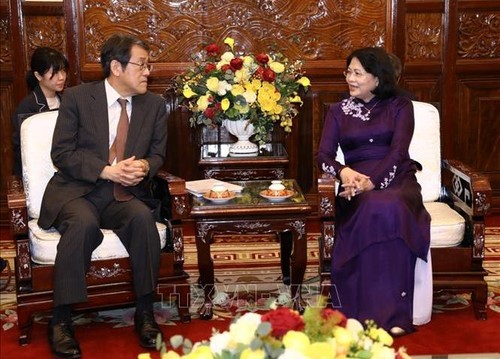 Phó Chủ tịch nước Đặng Thị Ngọc Thịnh tiếp Đại sứ Nhật Bản tại Việt Nam Umeda Kunio - ảnh 1