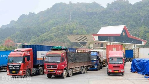 Đảm bảo hoạt động xuất khẩu nông sản tại các cửa khẩu biên giới Việt-Trung - ảnh 1