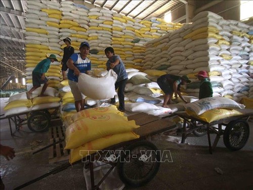 Xuất khẩu gạo 6 tháng tăng gần 18% - ảnh 1