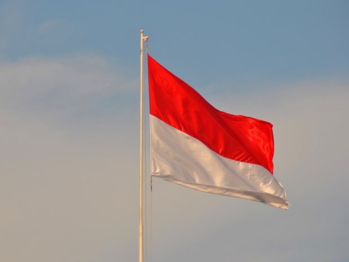 Kỷ niệm 75 năm Quốc khánh nước Cộng hòa Indonesia - ảnh 1