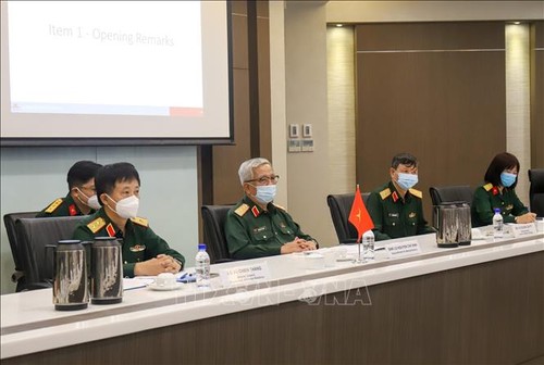 Đối thoại Chính sách Quốc phòng Việt Nam-Singapore lần thứ 11 - ảnh 1