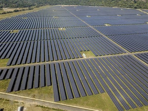 Việt Nam nằm trong “Top” 3 về chuyển đổi năng lượng tái tạo trong khu vực - ảnh 1