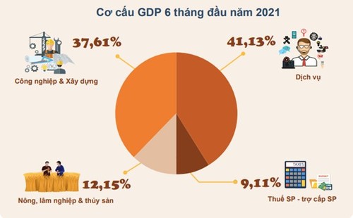 Kinh tế Việt Nam tăng trưởng khá trong 6 tháng đầu năm 2021 - ảnh 1