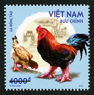 Phát hành bộ tem bưu chính “Gà bản địa Việt Nam” - ảnh 2