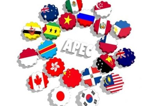 APEC tạo nền tảng mới cho phát triển ở khu vực châu Á - Thái Bình Dương - ảnh 1