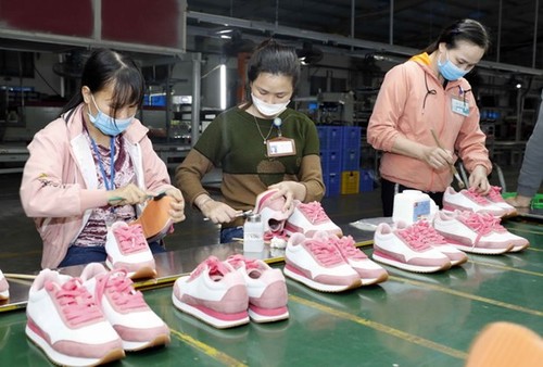 Việt Nam lần đầu tiên chiếm trên 10% thị phần giày xuất khẩu toàn cầu - ảnh 1