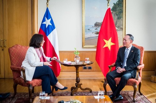 Việt Nam là một trong những đối tác quan trọng của Chile tại Đông Nam Á - ảnh 1