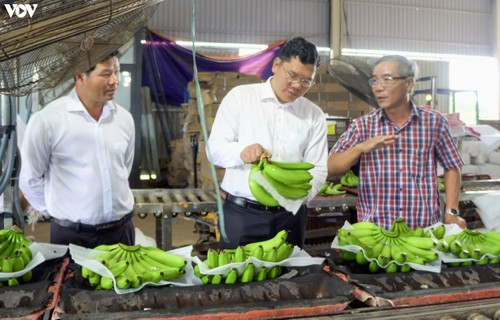 Phó Thủ tướng Phạm Bình Minh trao bằng công nhận nông thôn mới cho huyện Xuyên Mộc - ảnh 2