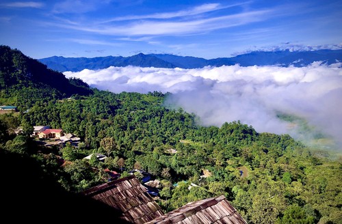 Văn hóa trà - chất dẫn để phát triển du lịch nơi đỉnh núi mờ sương - ảnh 11