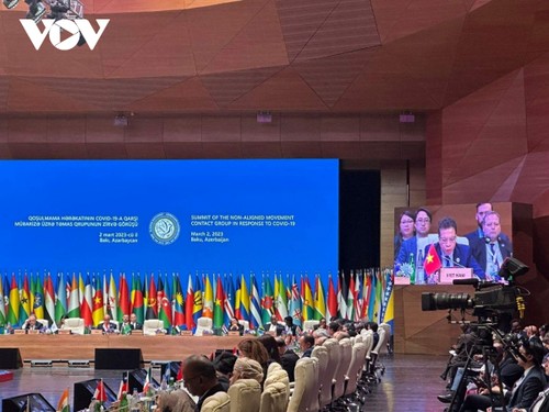 Việt Nam tham dự Hội nghị cấp cao Nhóm liên lạc Phong trào Không liên kết về ứng phó với COVID-19 - ảnh 1