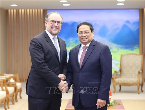 Việt Nam coi trọng và mong muốn tăng cường quan hệ hợp tác với Áo - ảnh 1