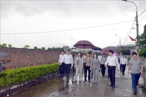 Phó Chủ tịch nước Võ Thị Ánh Xuân thăm xã Nông thôn mới kiểu mẫu đầu tiên trong cả nước - ảnh 1