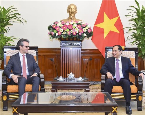 Việt Nam coi trọng và mong muốn thúc đẩy quan hệ với Liên minh châu Âu - ảnh 1