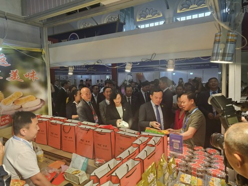 Phó Thủ tướng Trần Lưu Quang thăm tỉnh Vân Nam, hội kiến Bộ trưởng Ngoại giao Trung Quốc - ảnh 1