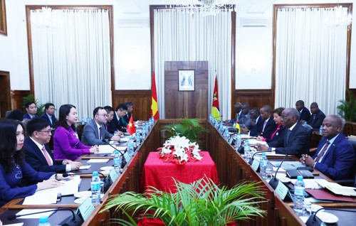 Mozambique - Đối tác hợp tác trọng điểm của Việt Nam tại châu Phi - ảnh 2