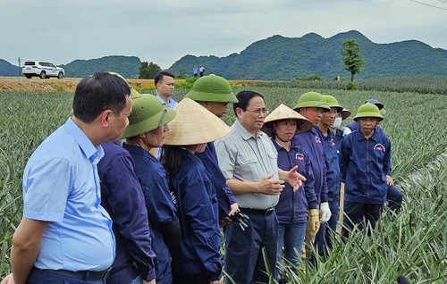 Thủ tướng Phạm Minh Chính thăm, làm việc tại Ninh Bình - ảnh 1