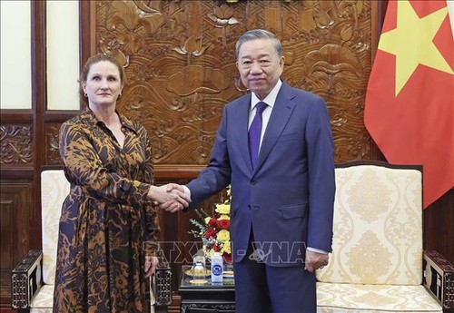 Chủ tịch nước Tô Lâm tiếp Đại sứ New Zealand tại Việt Nam - ảnh 1