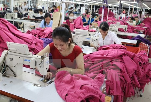 Vietnam terus mengalami  surplus perdagangan ke pasar Italia - ảnh 1