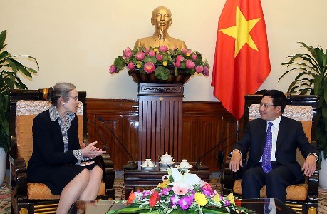 Deputi PM, Menlu Pham Binh Minh menerima Duta Besar Belanda, Catharina Trooster - ảnh 1