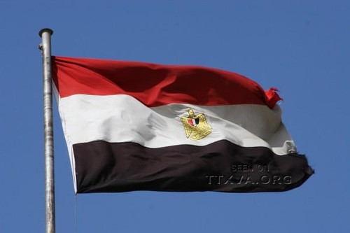 Mesir akan mengadakan pemilihan Parlemen setelah bulan Ramadan - ảnh 1