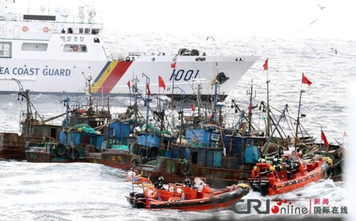 Republik Korea memperingatkan Tiongkok menangkap ikan secara tidak sah di Laut Kuning - ảnh 1