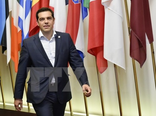 Parlemen Yunani mengesahkan rencana melakukan referendum tentang bantuan - ảnh 1
