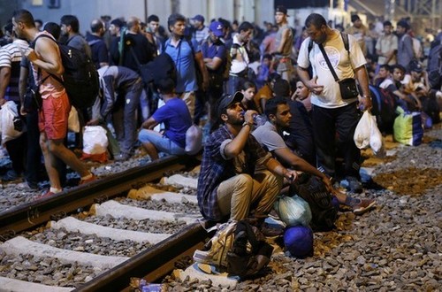 Masalah migran : Kroatia dan Serbia mengurangi ketegangan di perbatasan. - ảnh 1