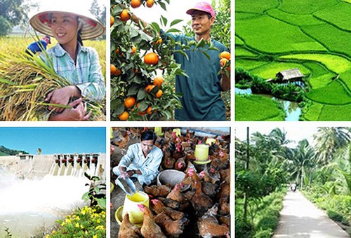 Koran Argentia memuji prestasi perkembangan pertanian Vietnam - ảnh 1